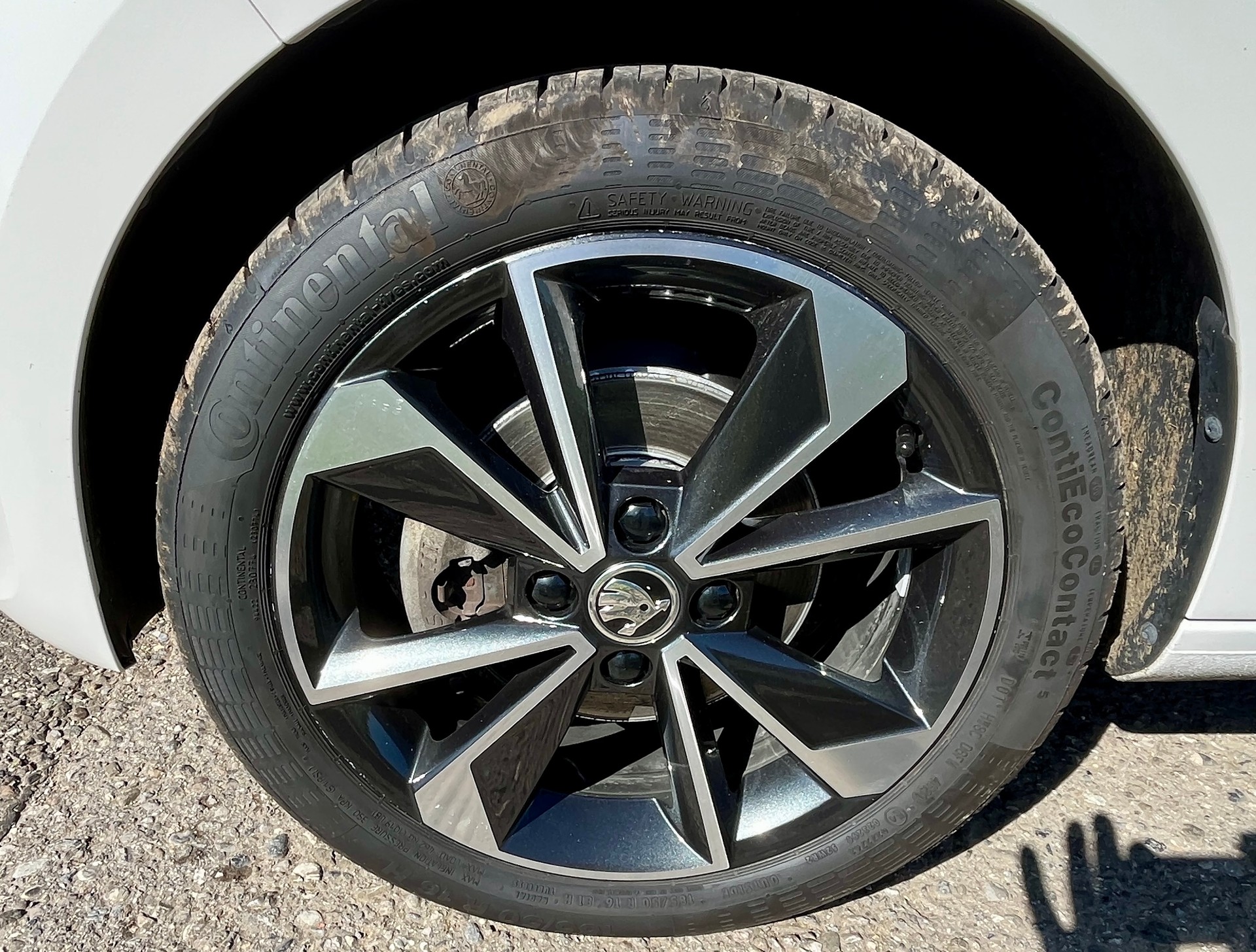 SKODA iV Style-image-5