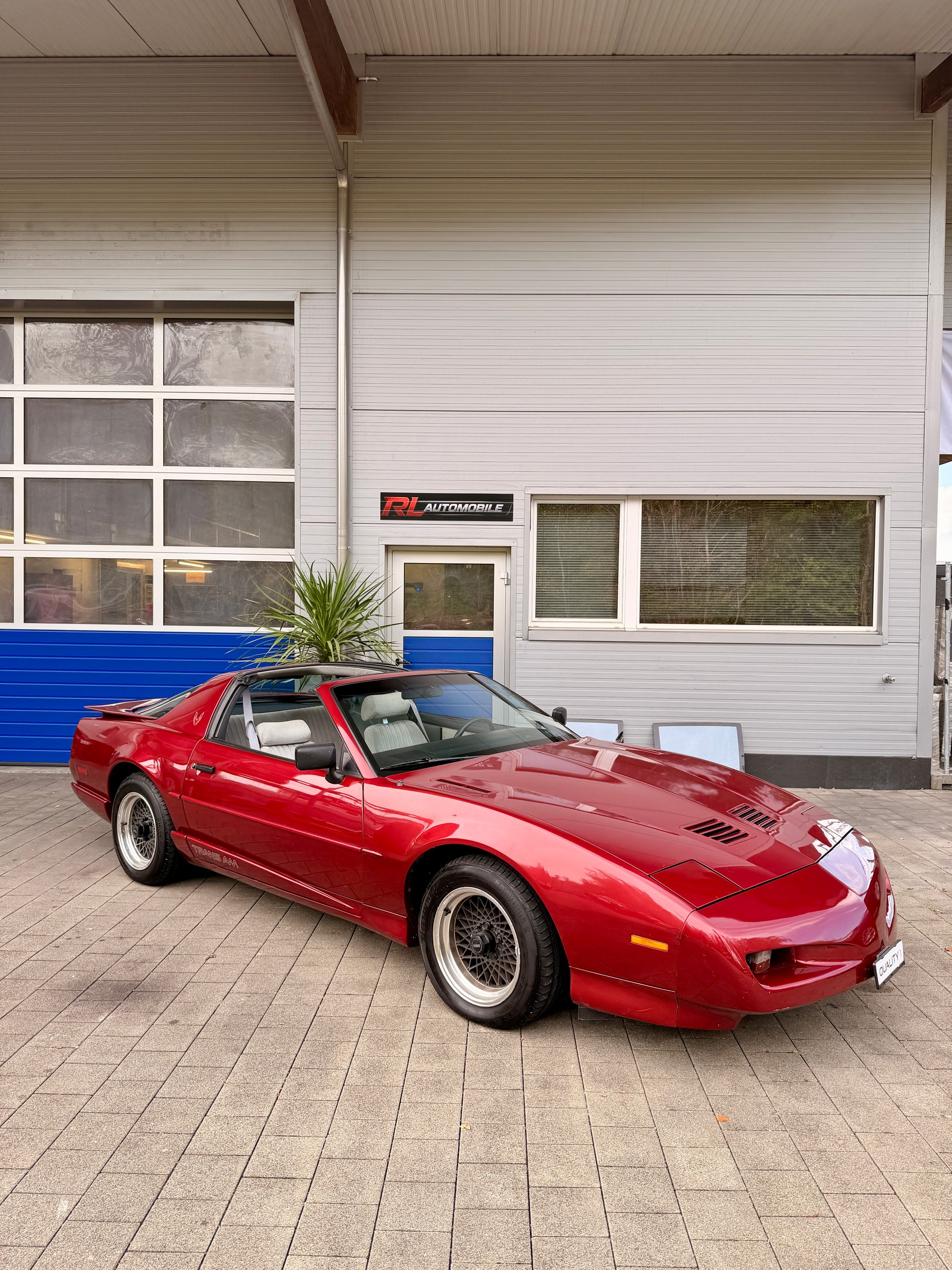 PONTIAC 5.0 V8 Trans Am-image-0