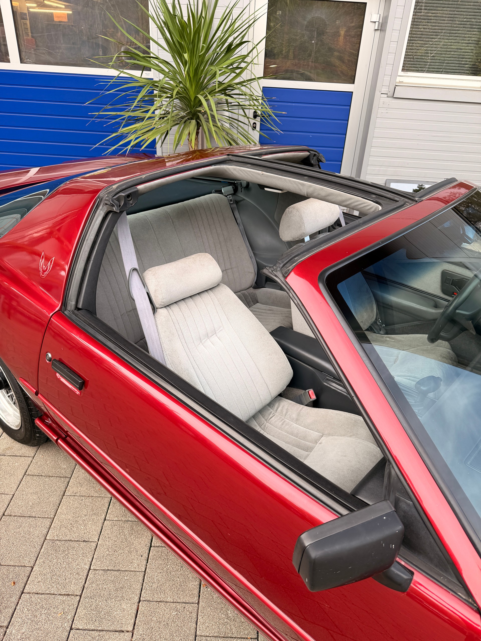 PONTIAC 5.0 V8 Trans Am-image-1