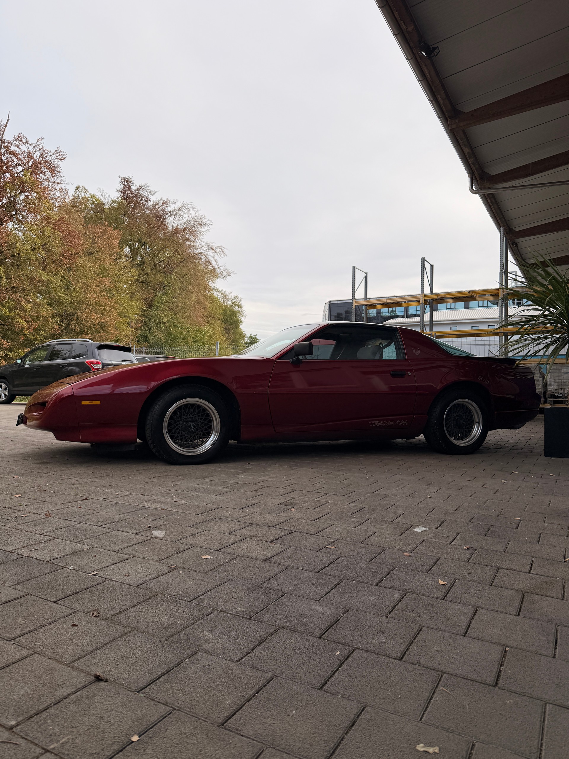 PONTIAC 5.0 V8 Trans Am-image-2