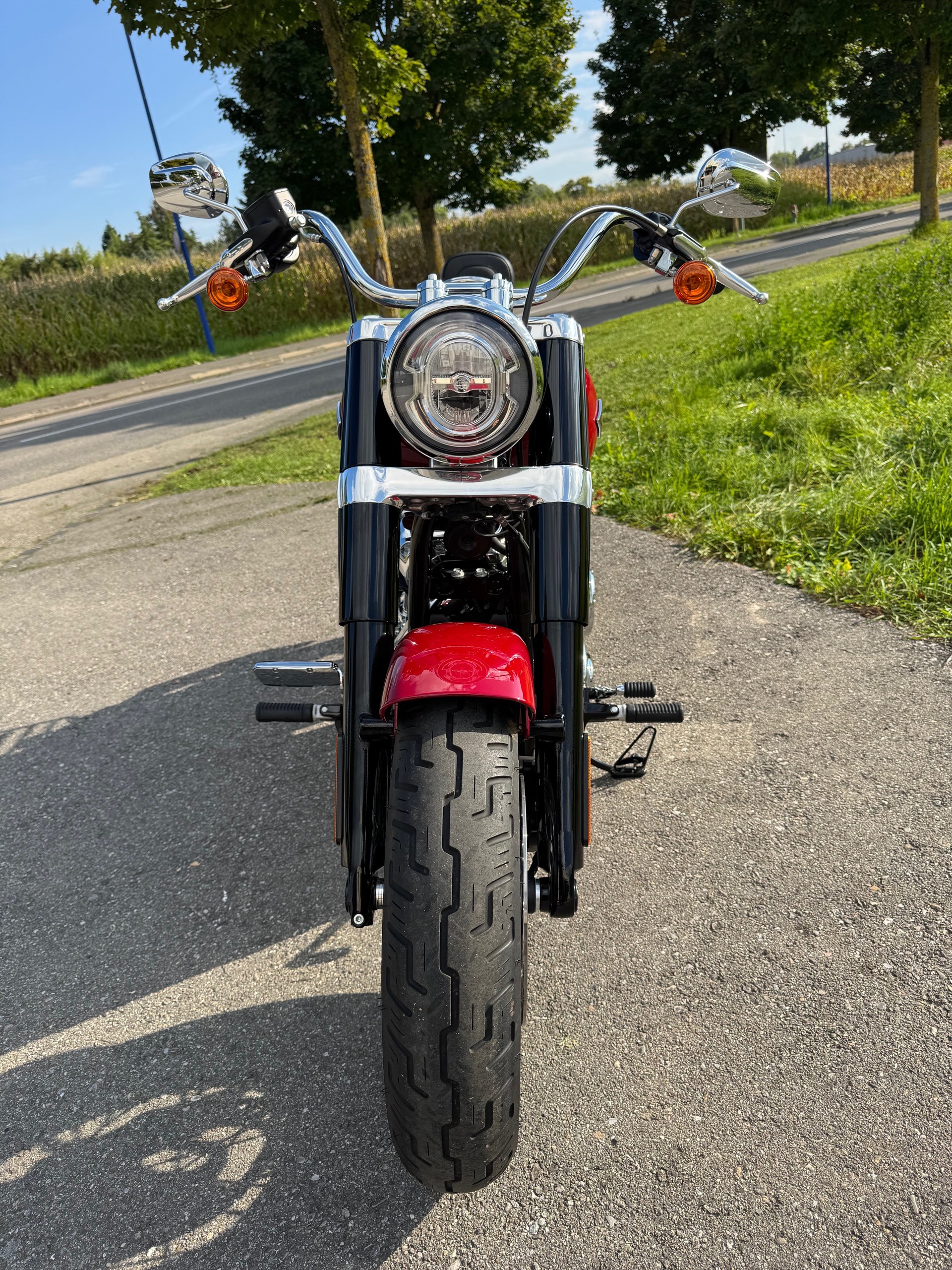 HARLEY-DAVIDSON FLSL Softail Slim 107-image-4