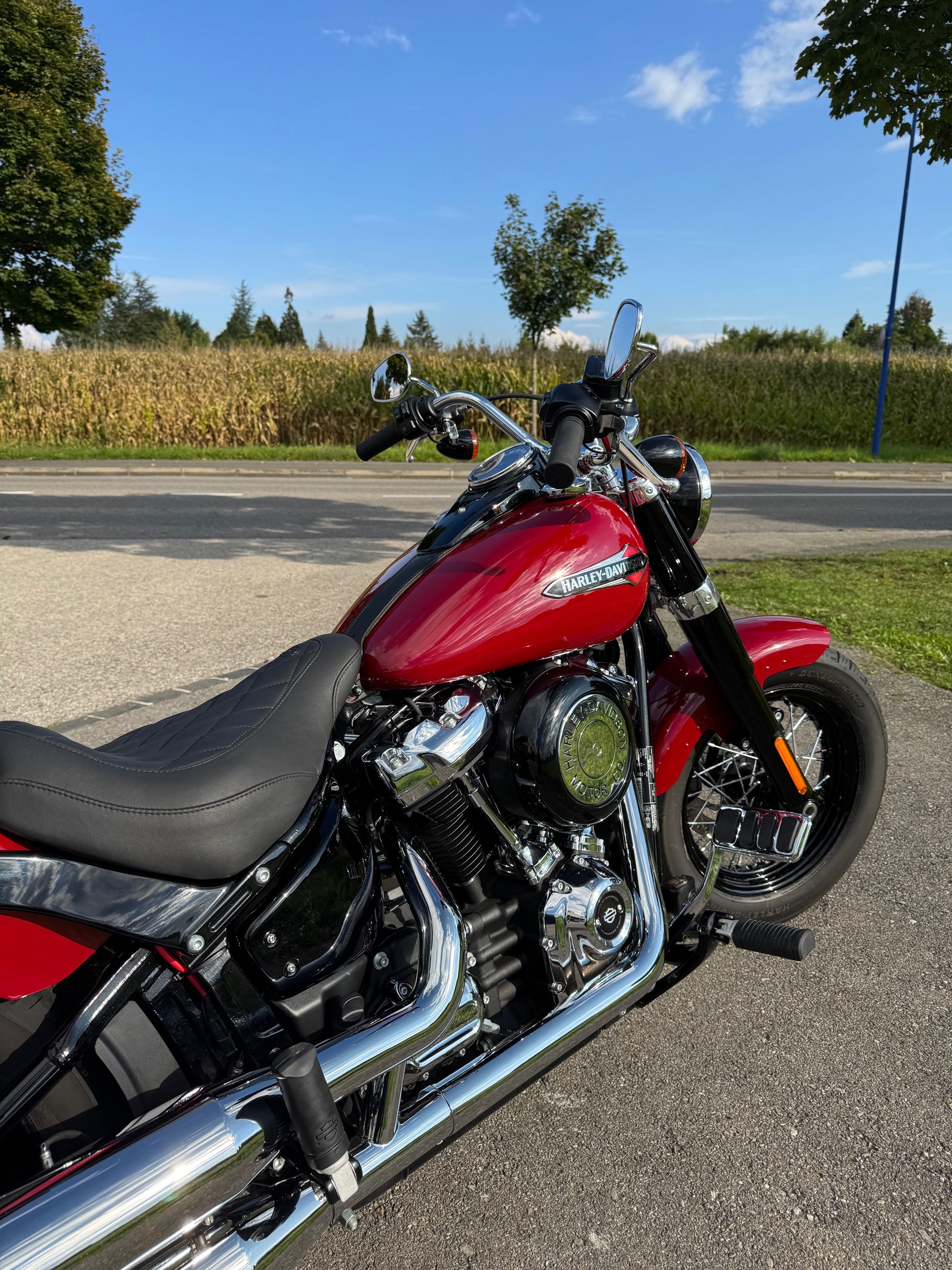 HARLEY-DAVIDSON FLSL Softail Slim 107-showroom-element-3