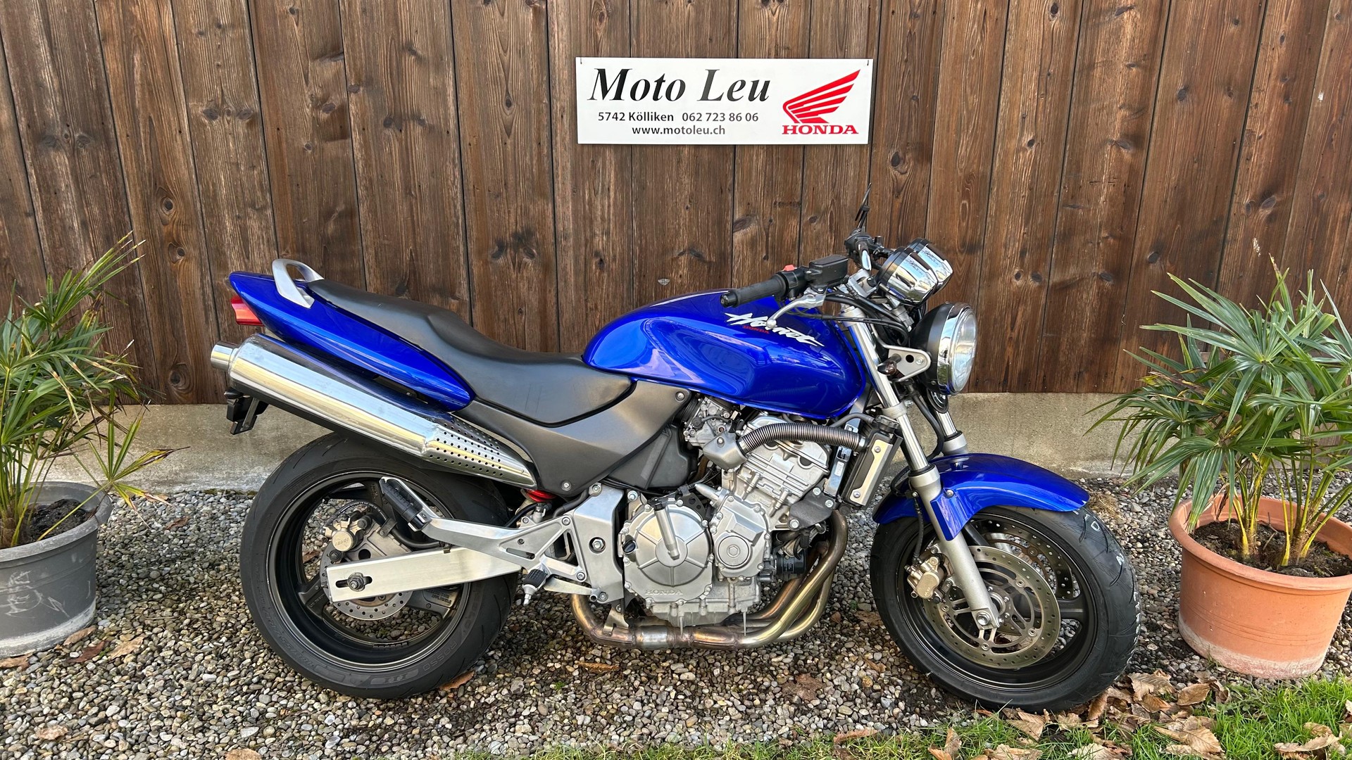 HONDA CB 600 F Hornet-image-7