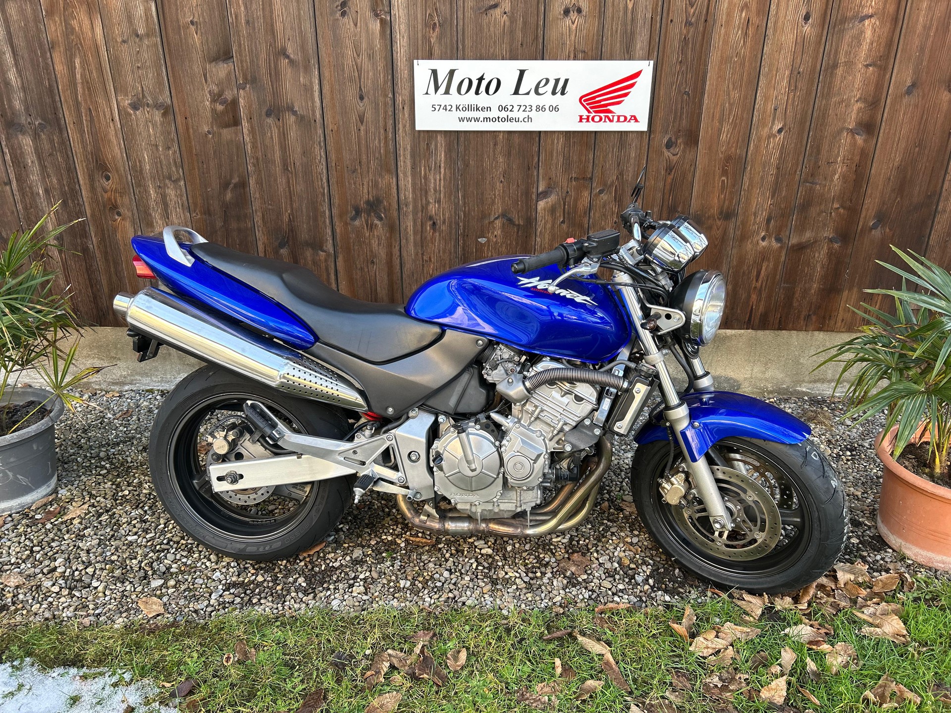 HONDA CB 600 F Hornet-showroom-element-1