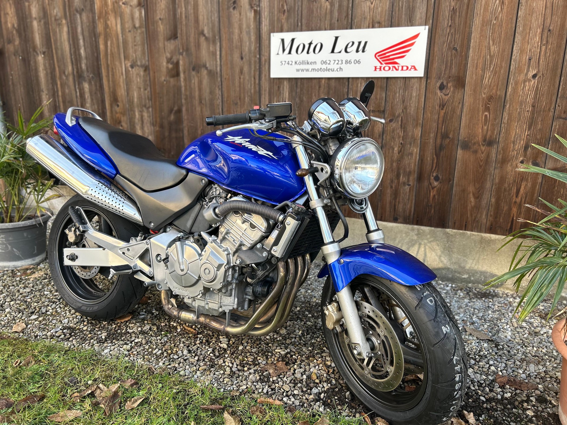 HONDA CB 600 F Hornet