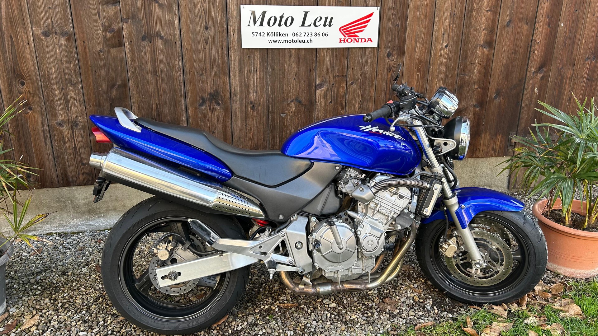 HONDA CB 600 F Hornet-image-6