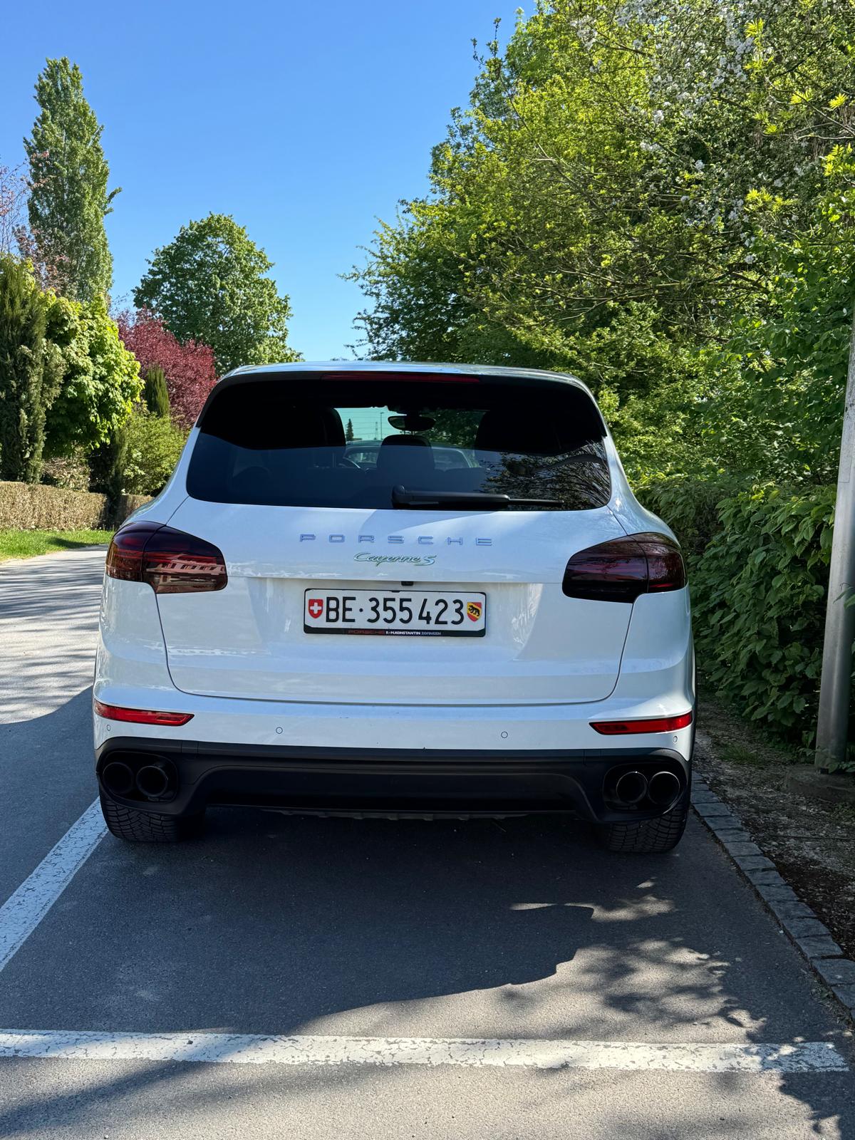 PORSCHE Cayenne S E-Hybrid-image-2