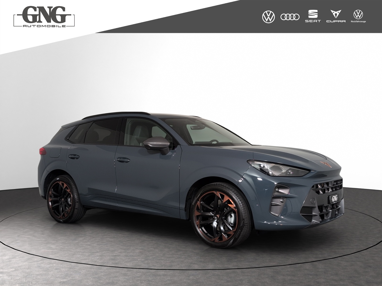 CUPRA Terramar 2.0 TSI Prime Edition DSG 4Drive-image-3