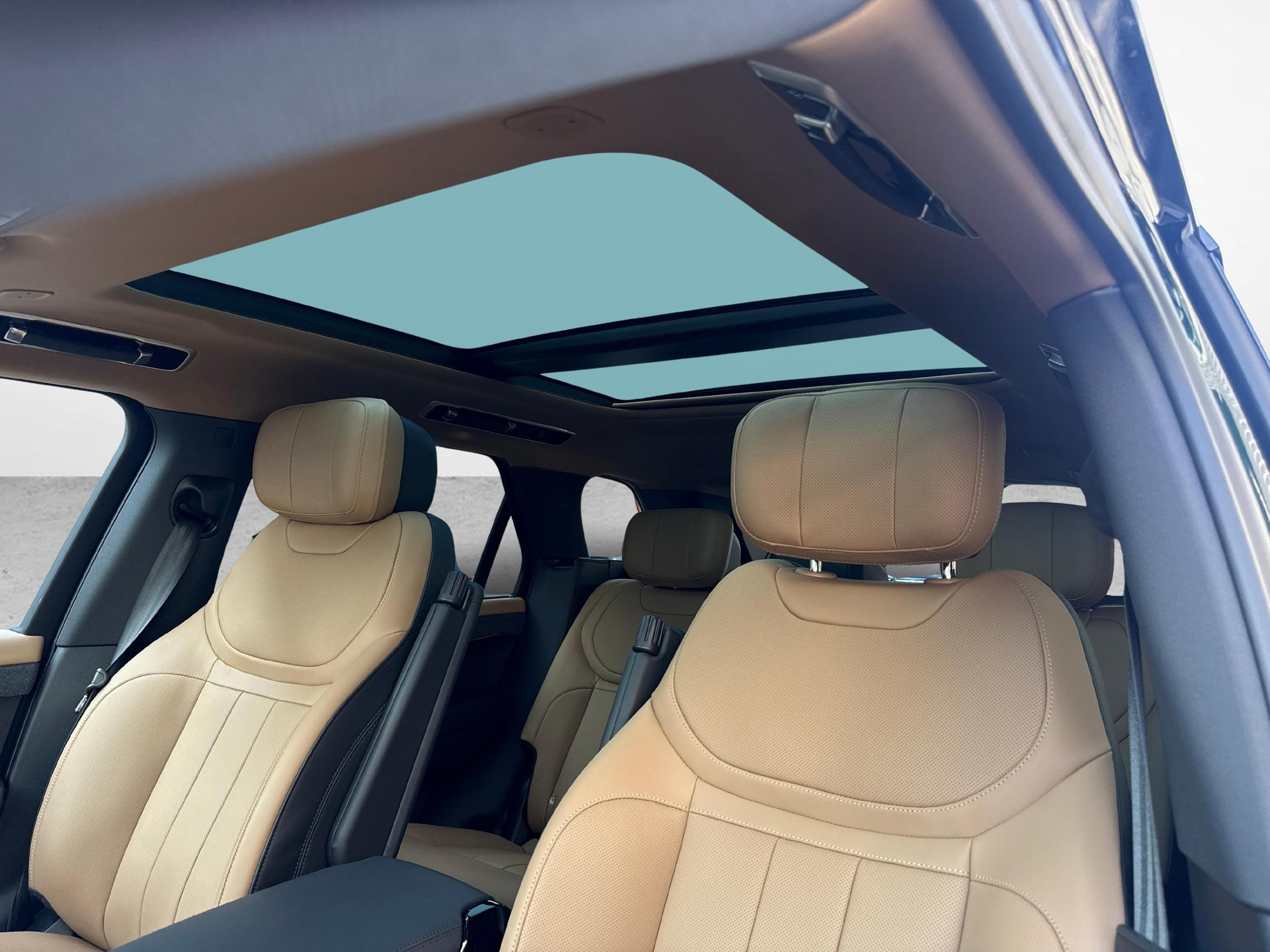 LAND ROVER Range Rover Sport 3.0 I6 P550e Autobiography-image-11