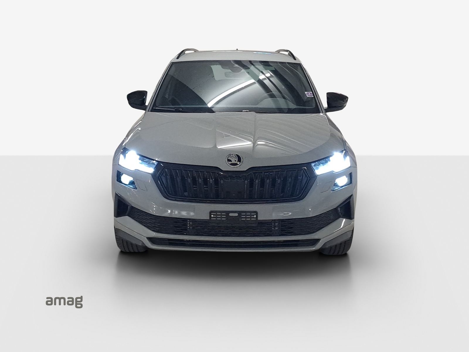 SKODA Karoq 2.0 TSI SportLine 4x4 DSG-image-6