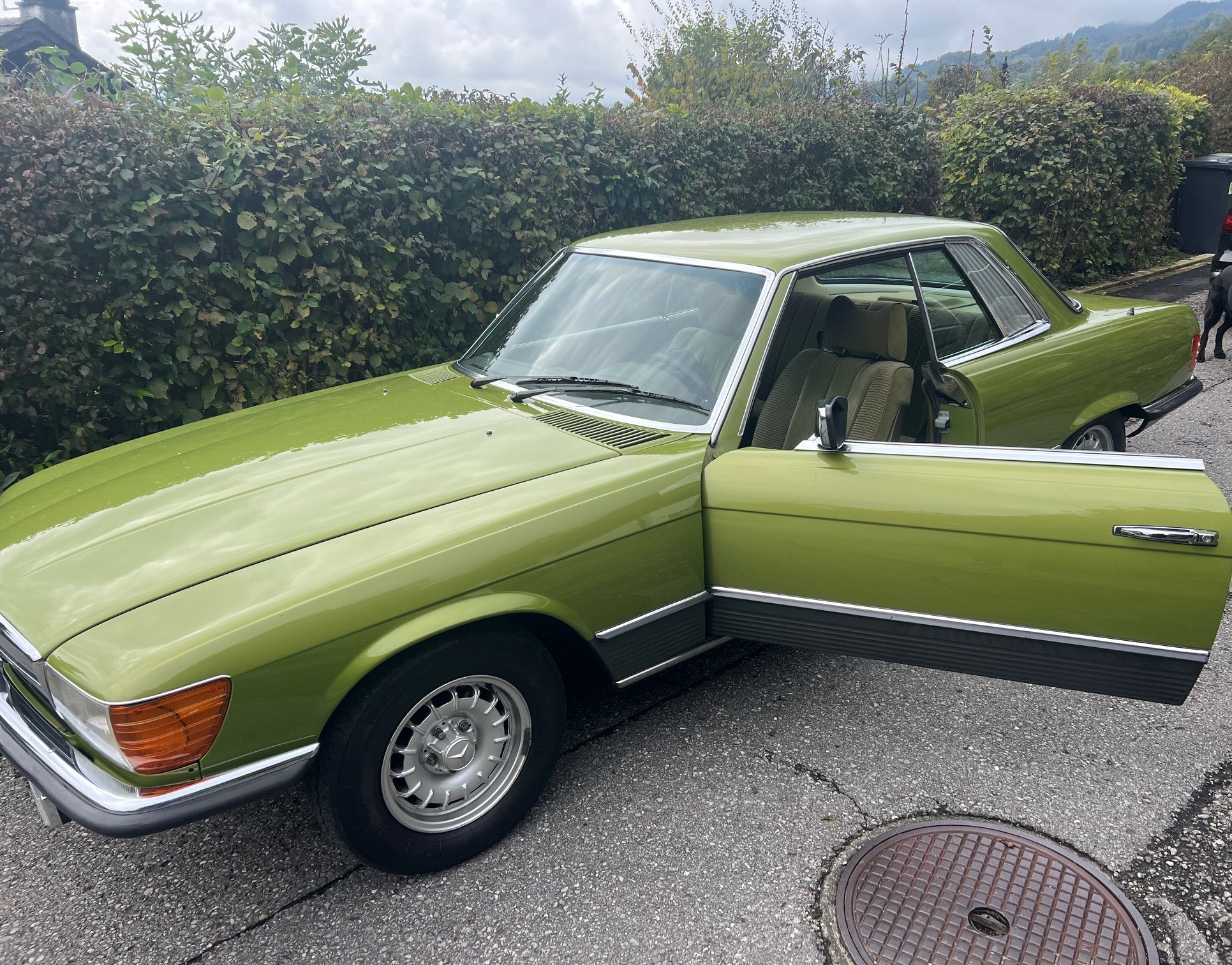 Car photo