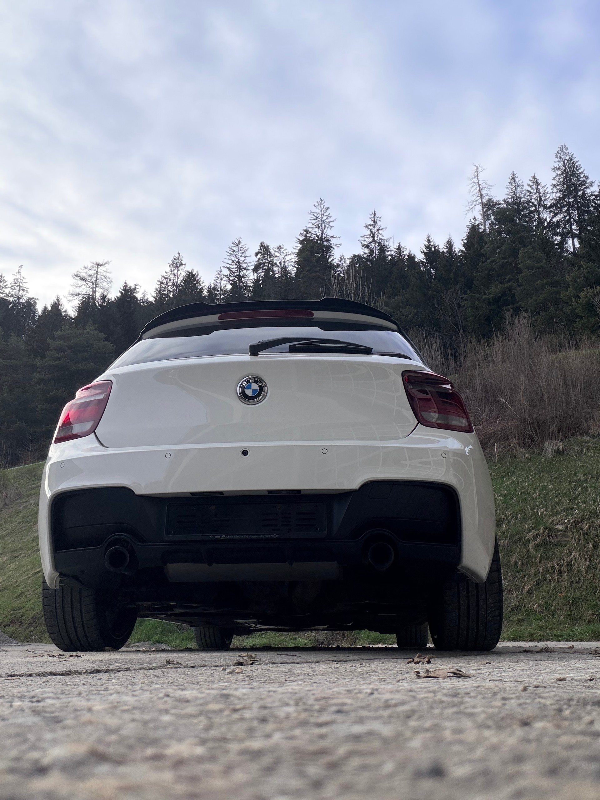BMW 1er Reihe F20 M135i xDrive-image-4
