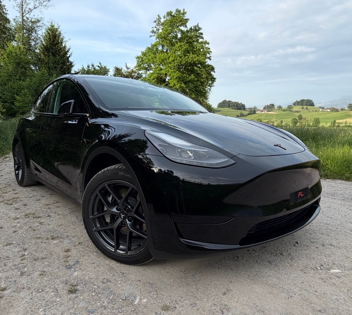 TESLA Model Y / RWD / EAP / AHK / Garantie-image-0