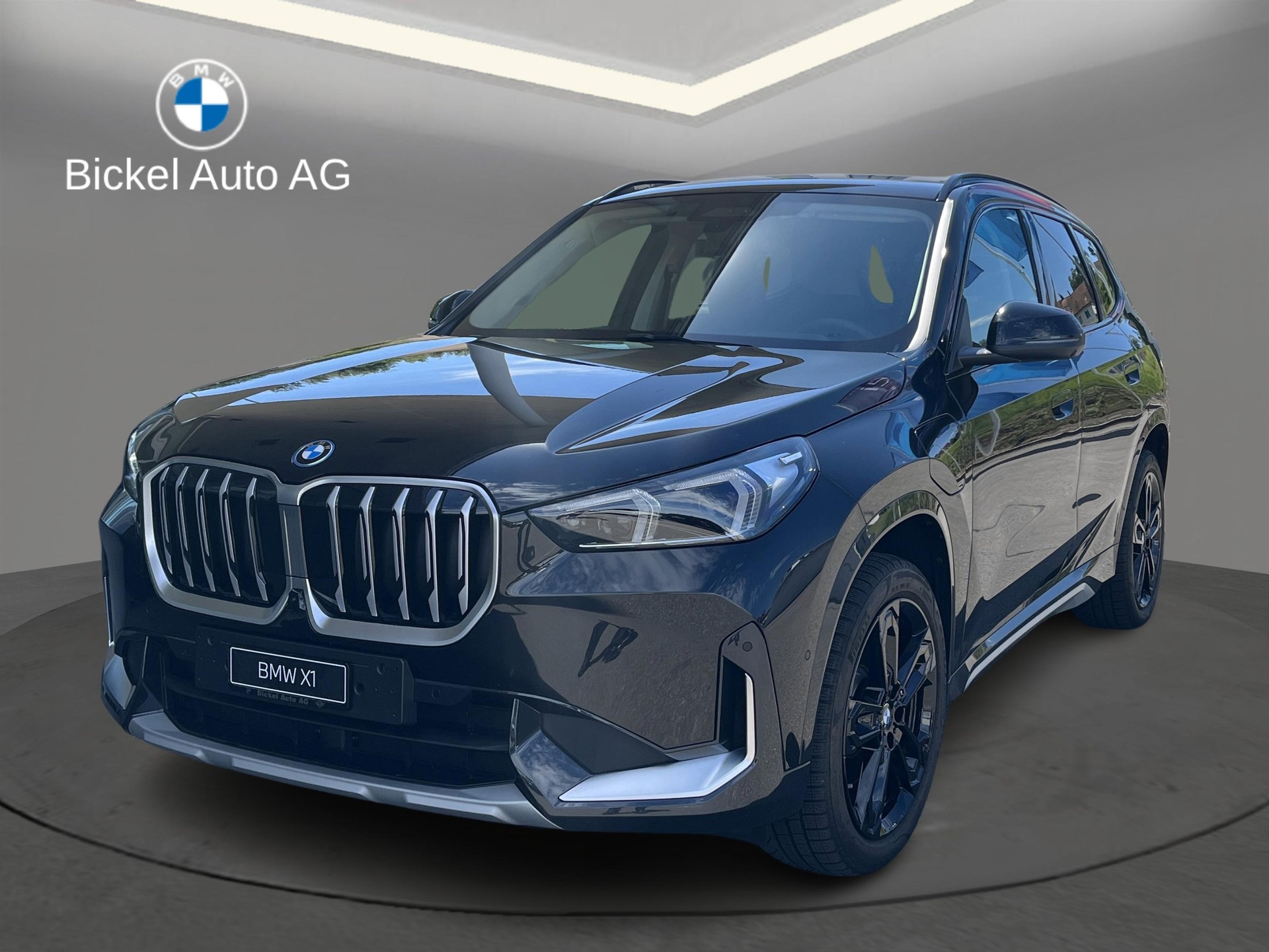 BMW X1 xDrive 25e xLine-image-0