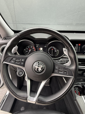 ALFA ROMEO Stelvio 2.0 Executive Q4-image-7