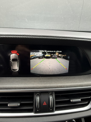 ALFA ROMEO Stelvio 2.0 Executive Q4-image-9