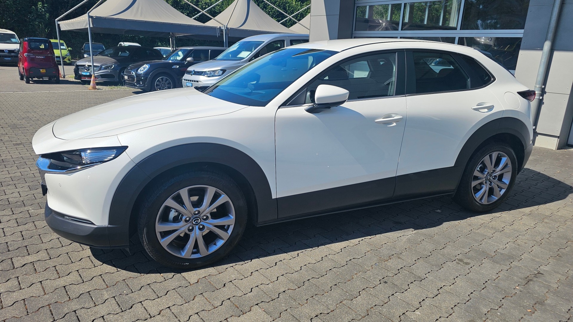 MAZDA CX-30 SKYACTIV-G M Hybrid 122 Ambition Plus FWD Automat-image-15