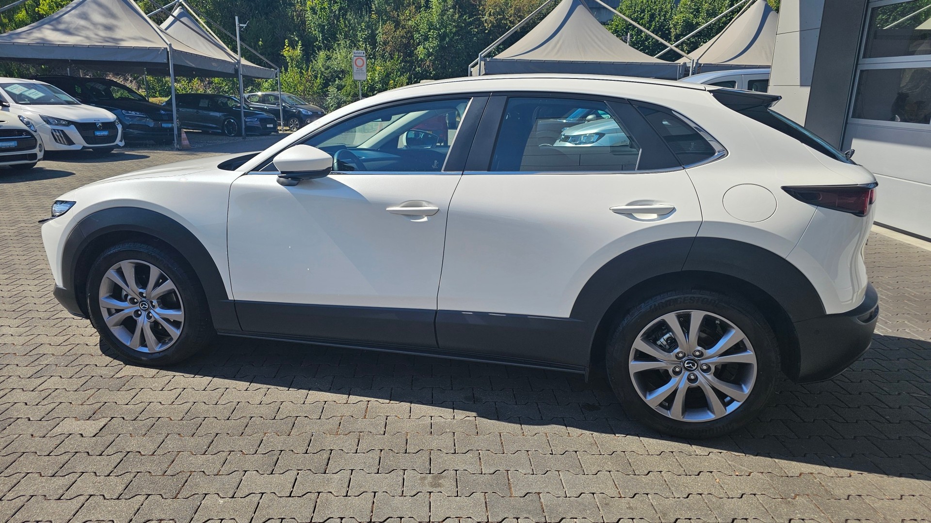 MAZDA CX-30 SKYACTIV-G M Hybrid 122 Ambition Plus FWD Automat-image-13
