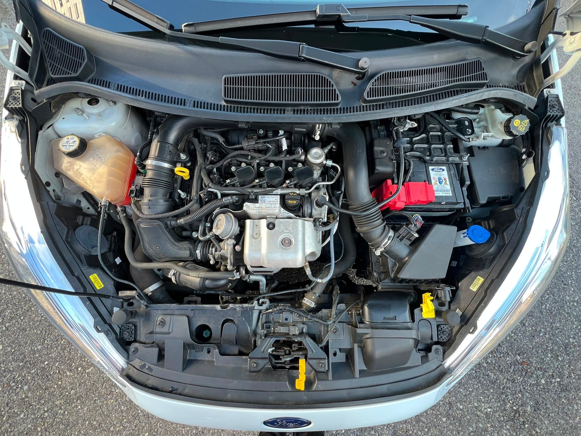 FORD FIESTA-image-13
