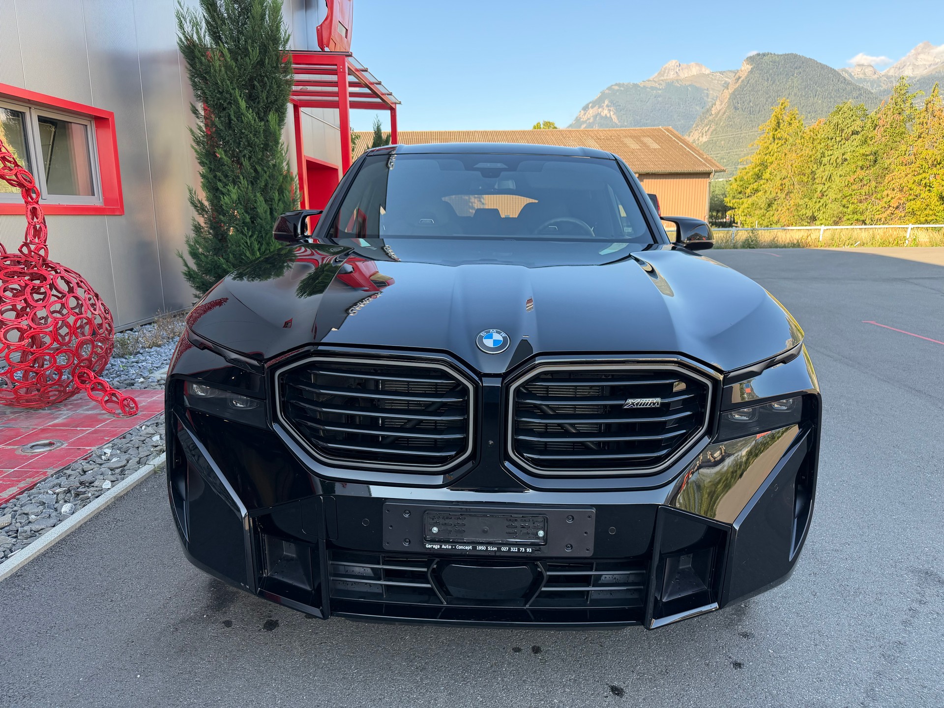 BMW XM xDrive 50e PHEV Steptronic-image-2
