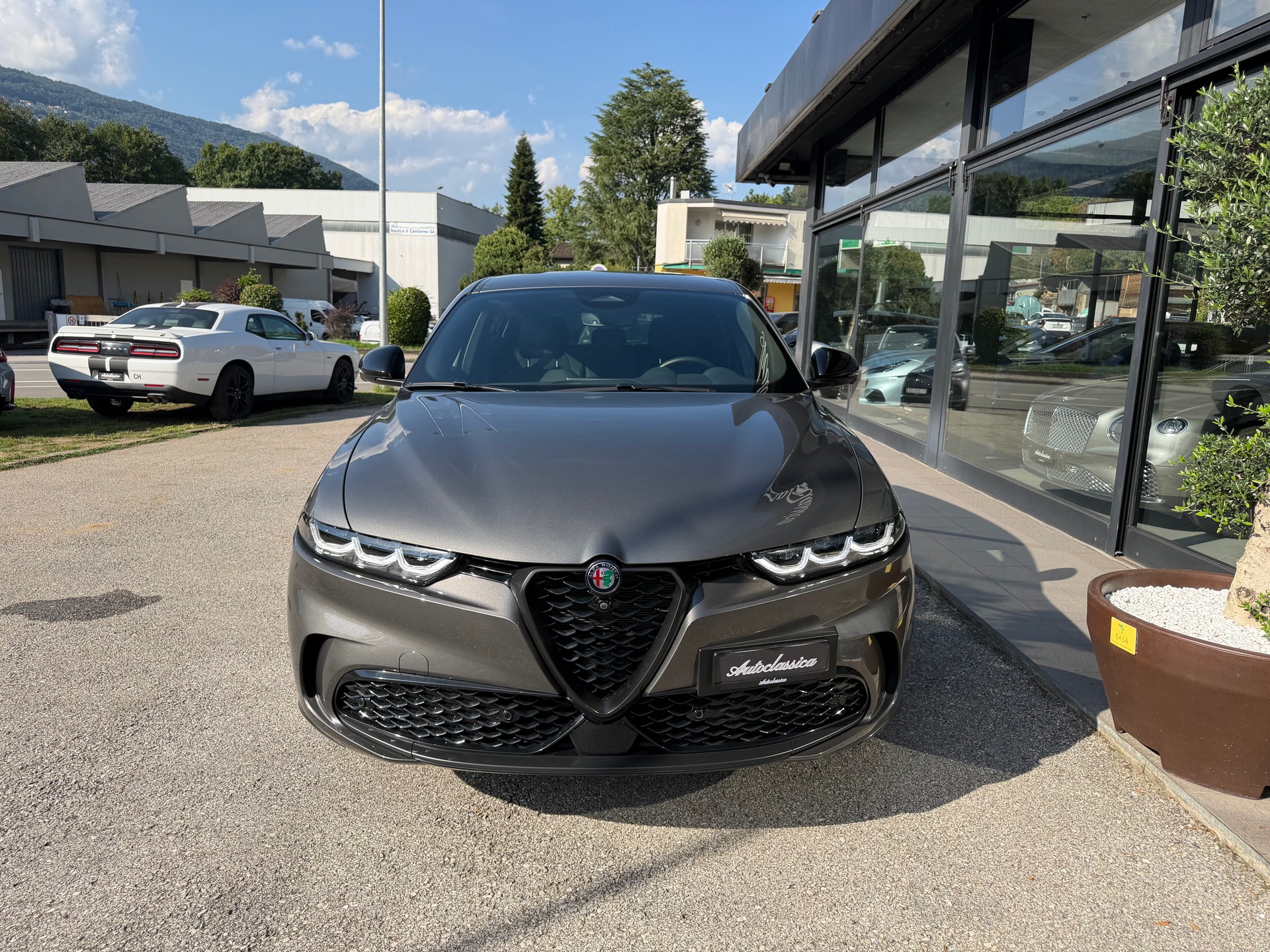 ALFA ROMEO Tonale 1.3 Plug-in-Hybrid Q4 Veloce-image-1