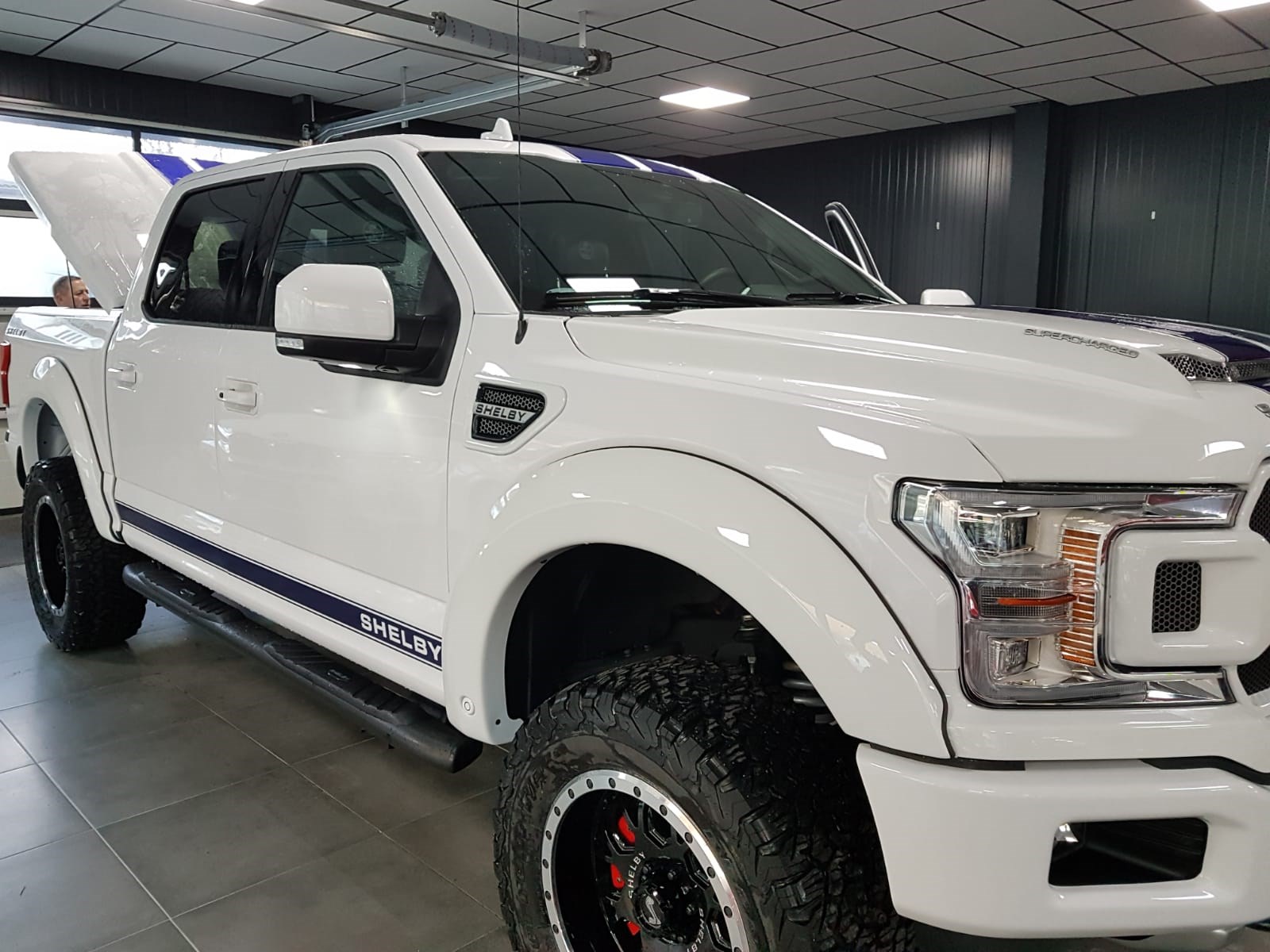 FORD F-Pickup F 150 Shelby-image-11