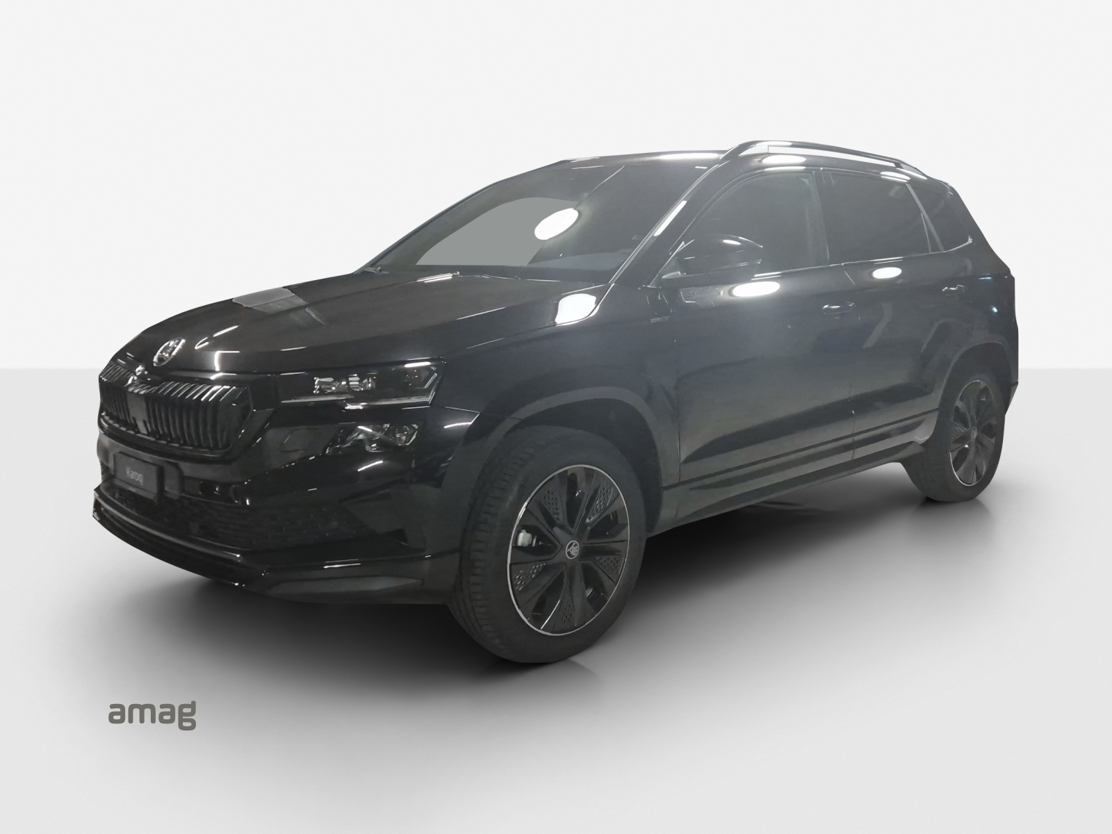 SKODA Karoq 2.0 TSI Dynamic Limited Edition 4x4 DSG