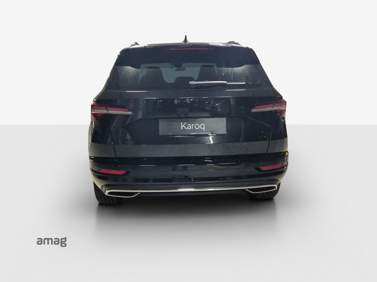 SKODA Karoq 2.0 TSI Dynamic Limited Edition 4x4 DSG-showroom-element-3