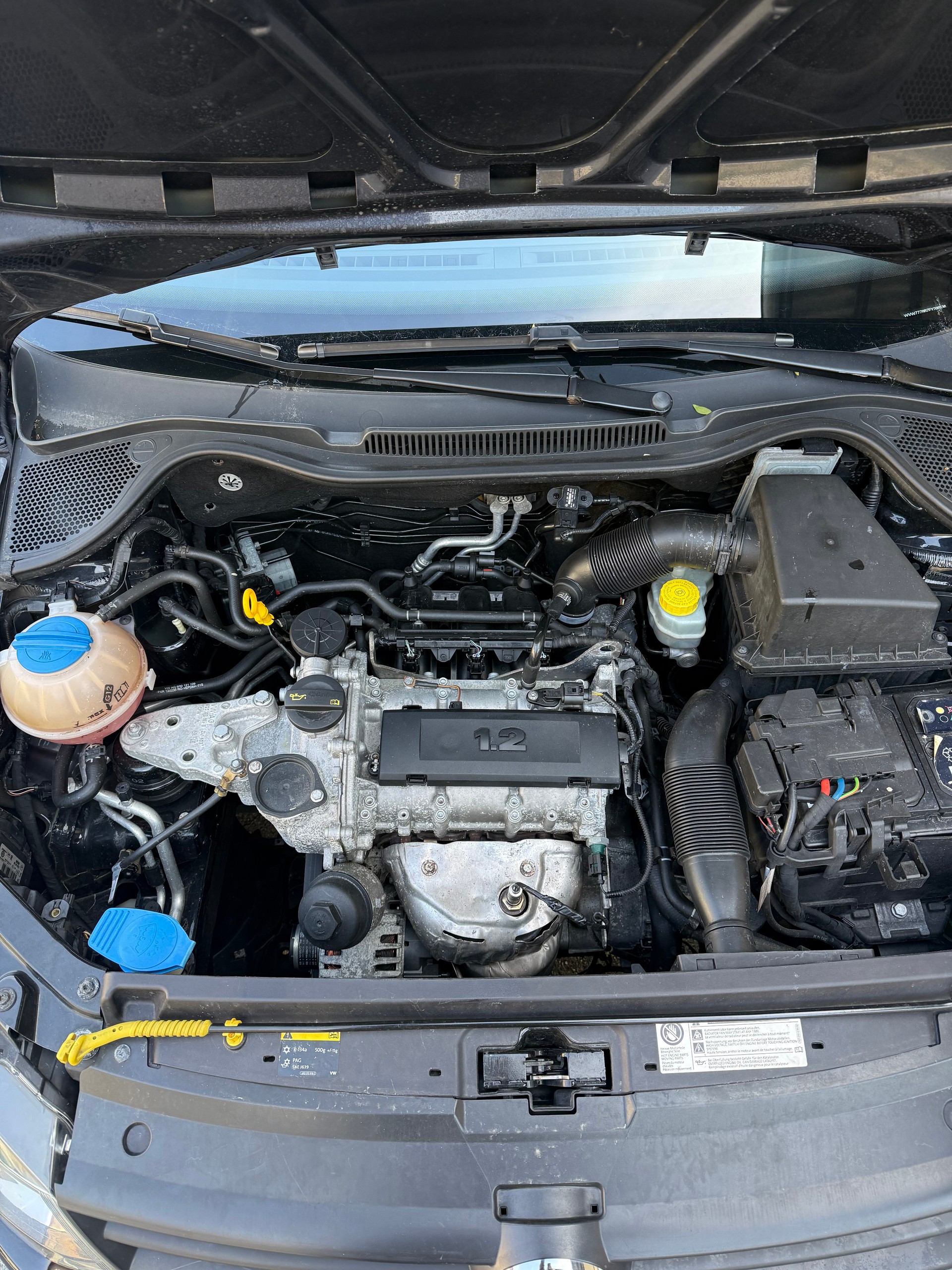 VW POLO-image-11