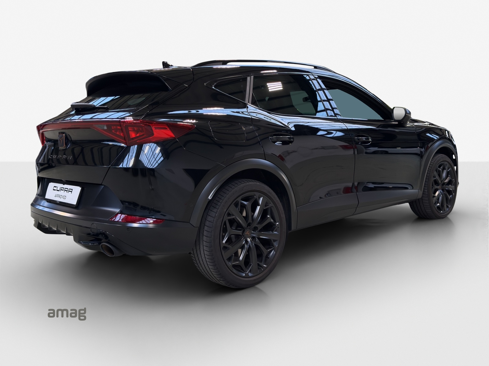 CUPRA Formentor 2.0TSI Tribe Edition DSG-image-4
