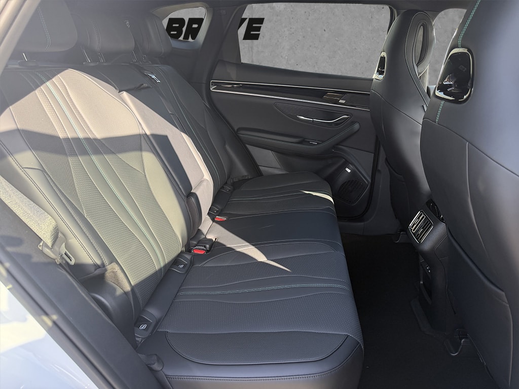 BYD Seal U DM-i Comfort-image-11