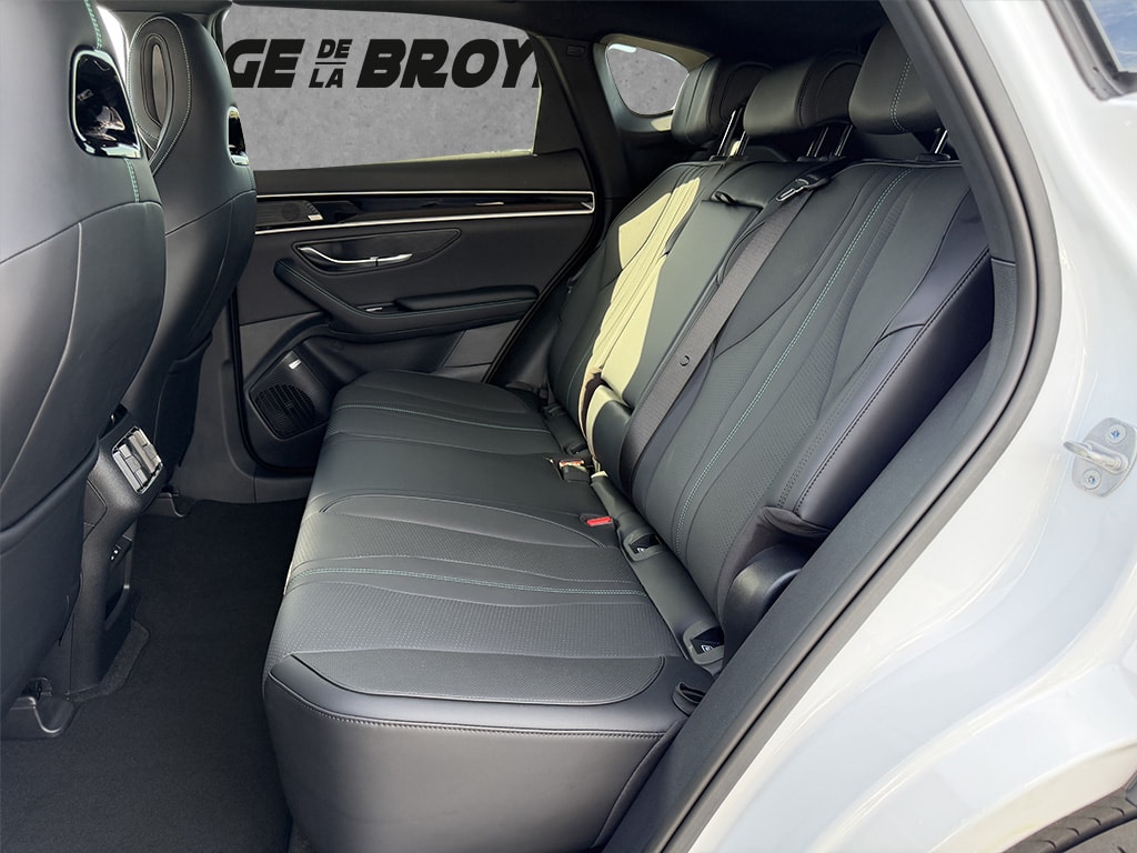 BYD Seal U DM-i Comfort-image-9