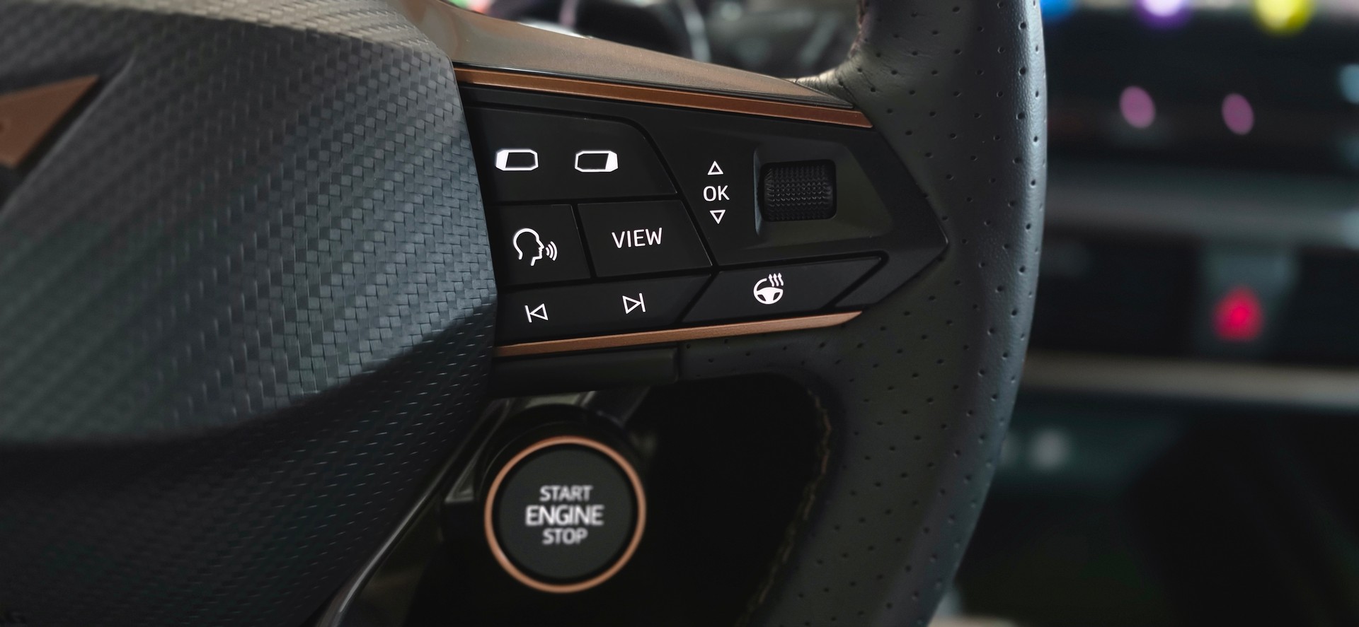 CUPRA Formentor 2.0TSI VZ 4Drive DSG *Spurhalte-&AbstandsAssistent*Sitz-&LenkradHeizung*Rückfahrkamera*Parkassistent*-image-12