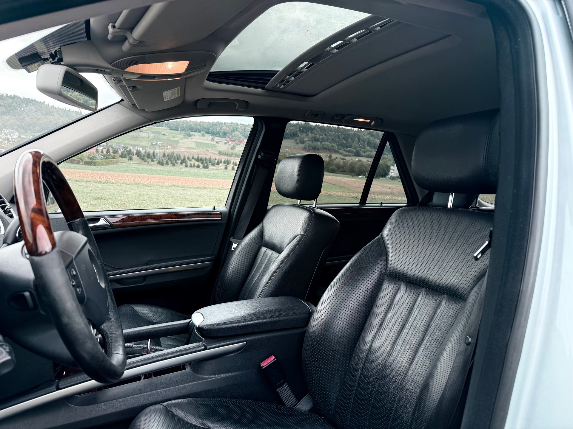 MERCEDES-BENZ ML 420 CDI 4Matic 7G-Tronic-image-7