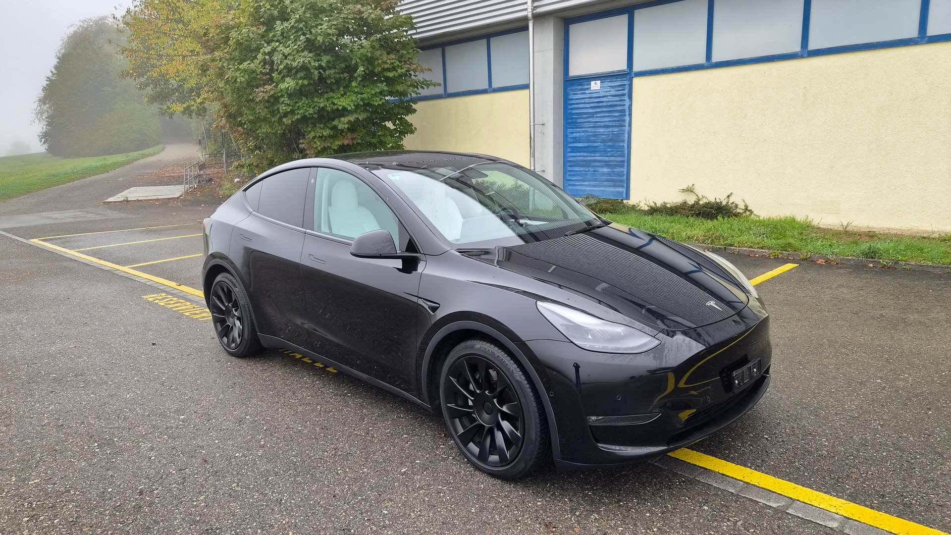 TESLA Model Y LongRange "Boost-Upgrade" SoH 88%-image-2
