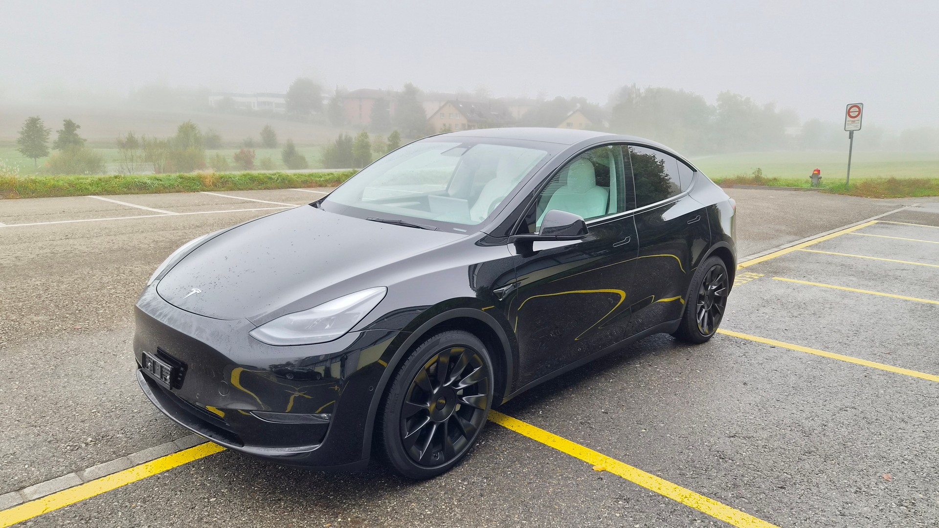 TESLA Model Y LongRange "Boost-Upgrade" SoH 88%-image-0
