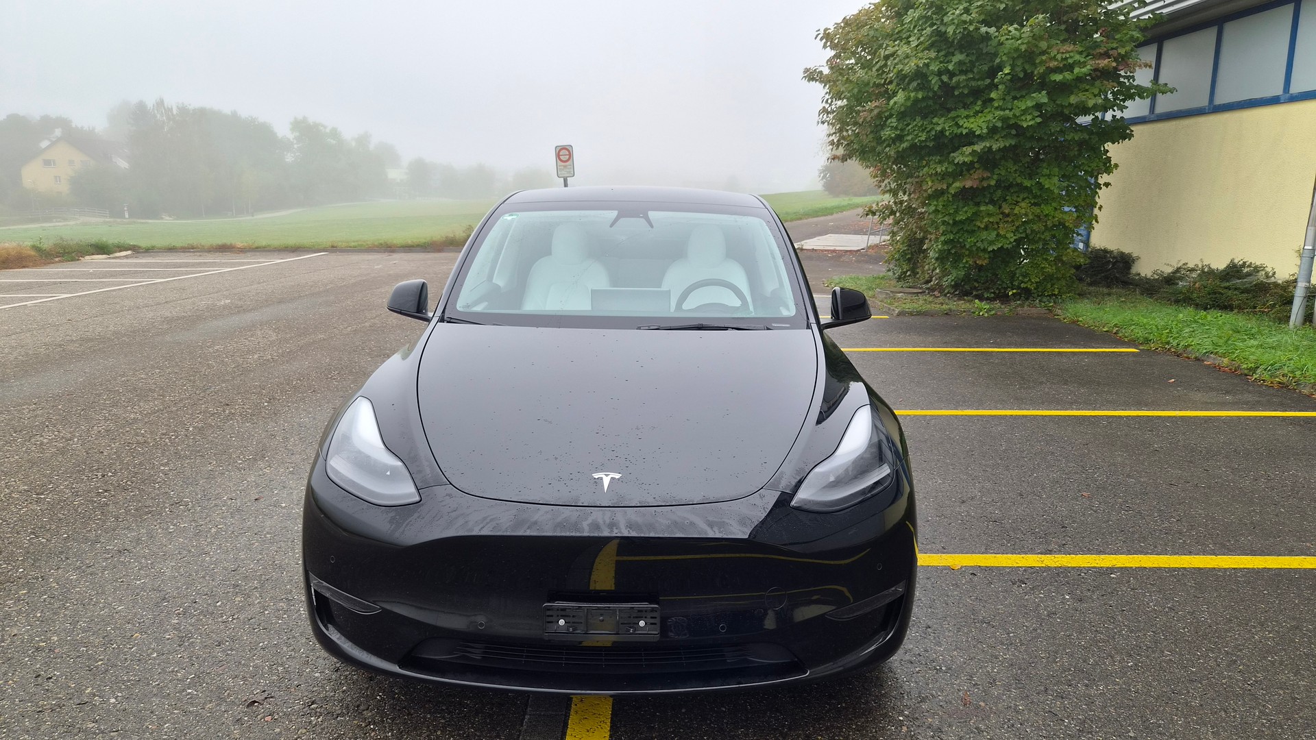 TESLA Model Y LongRange "Boost-Upgrade" SoH 88%-image-1