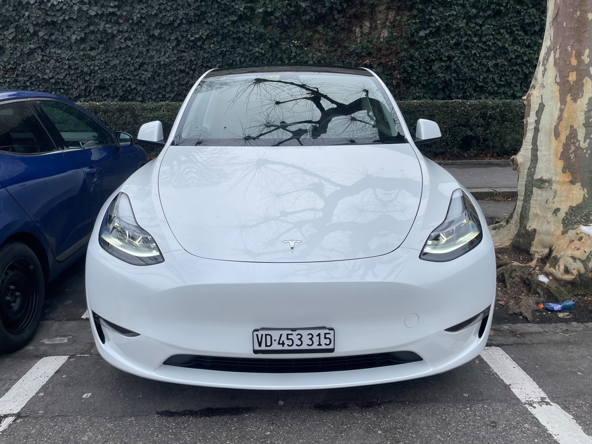 TESLA Model Y Long Range-image-6