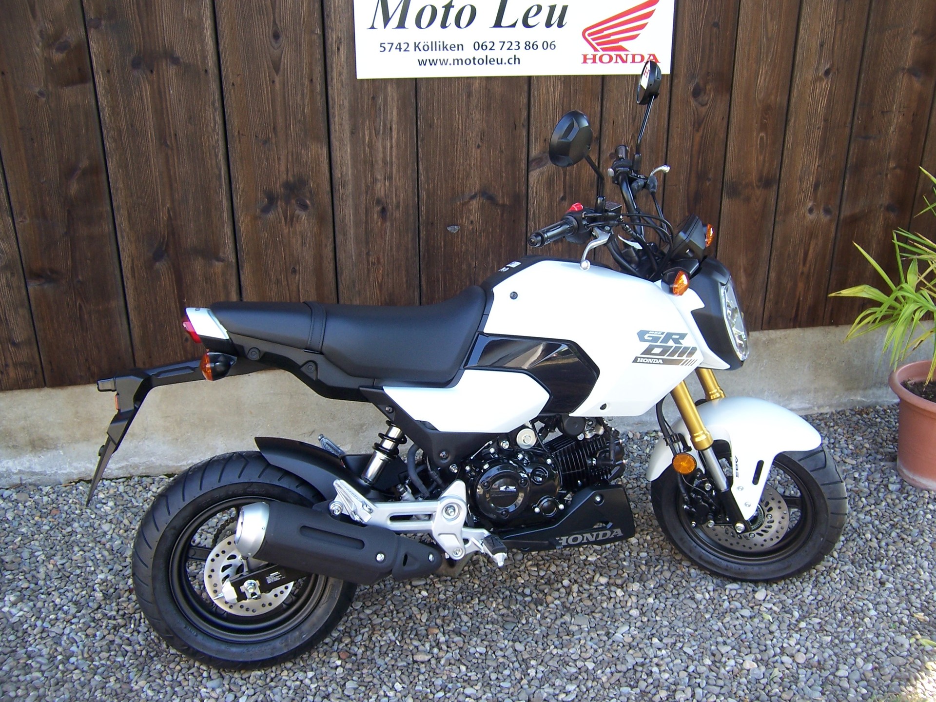 HONDA MSX 125-image-10