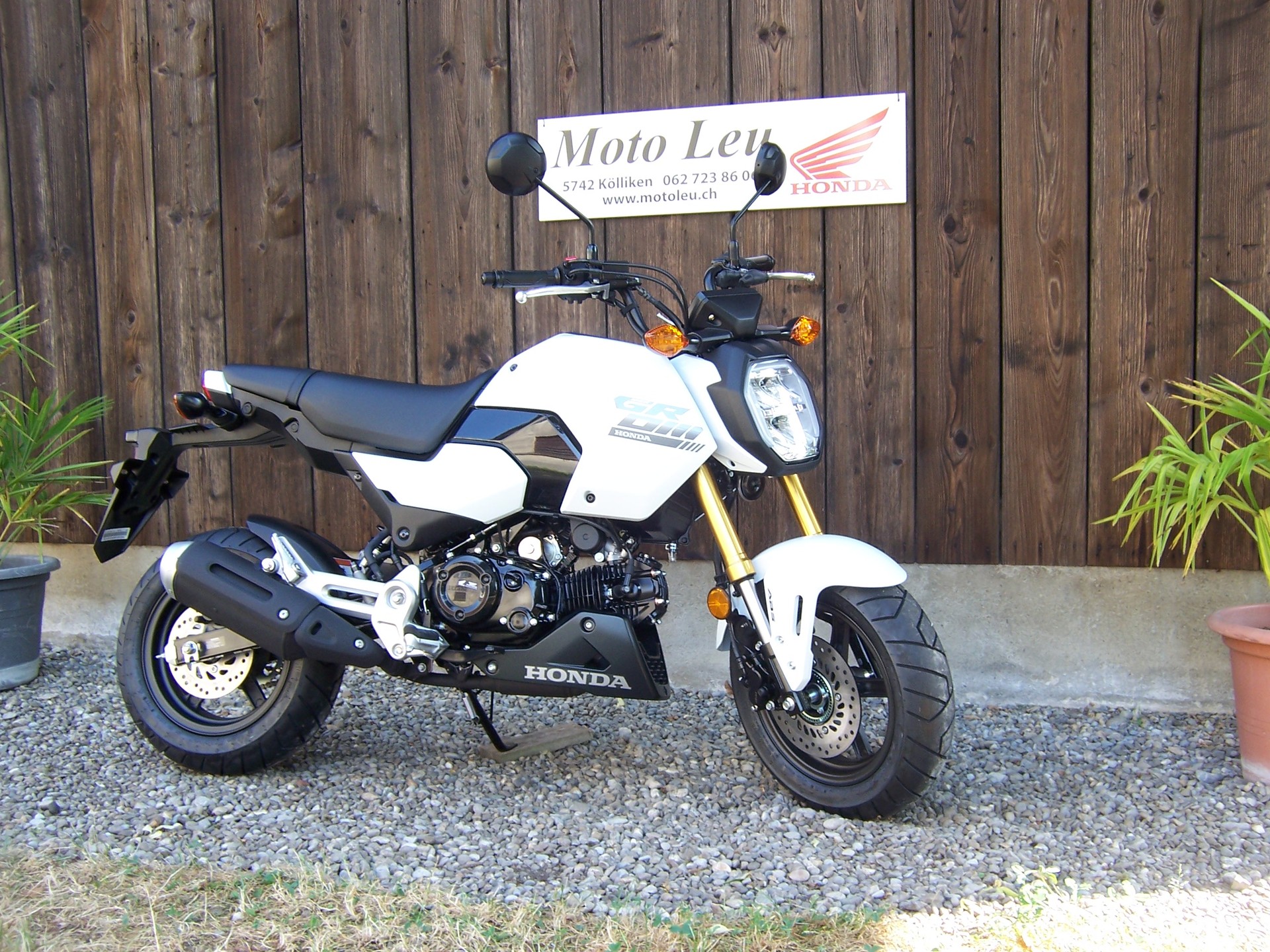 HONDA MSX 125-image-11