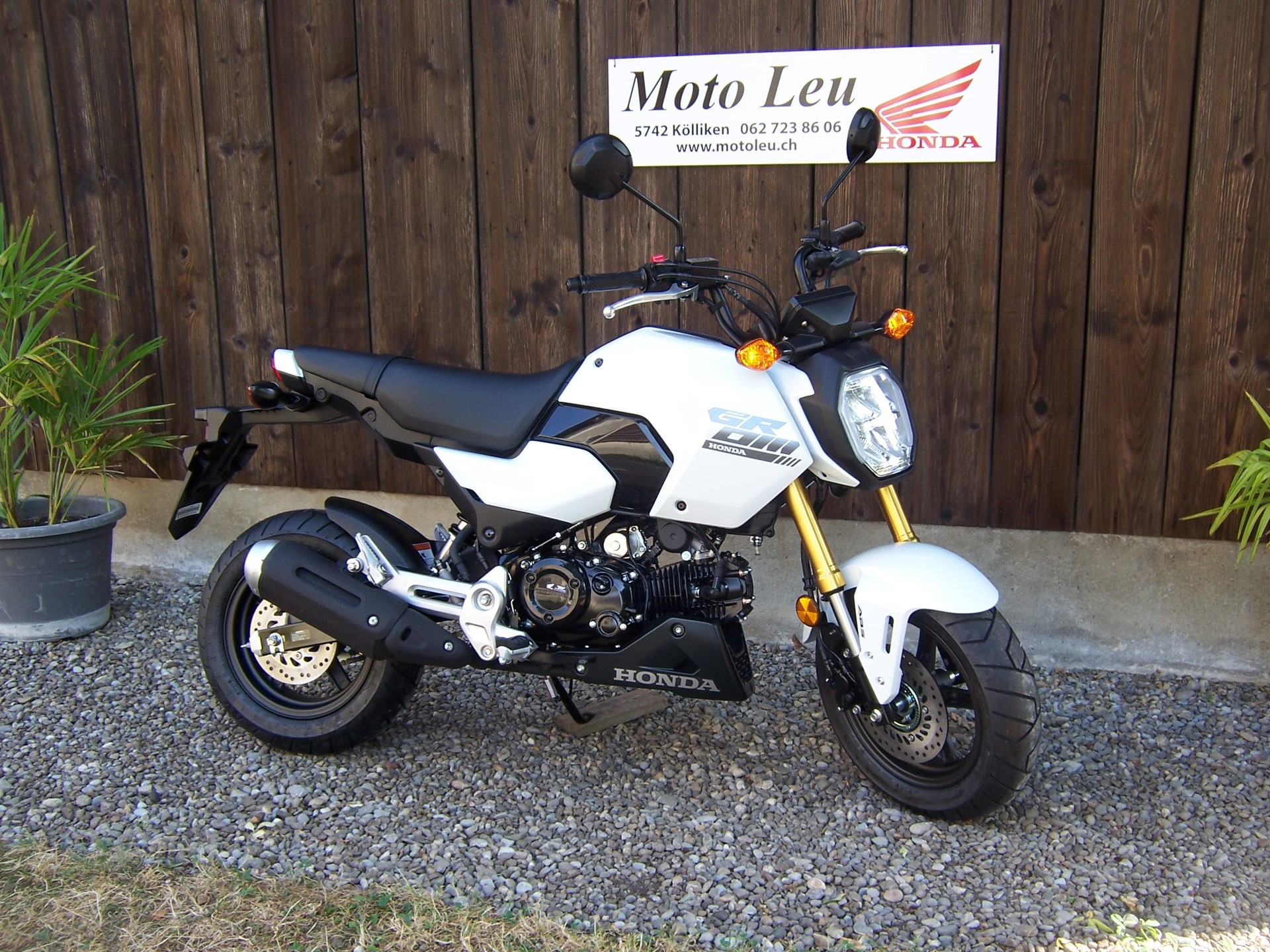 HONDA MSX 125