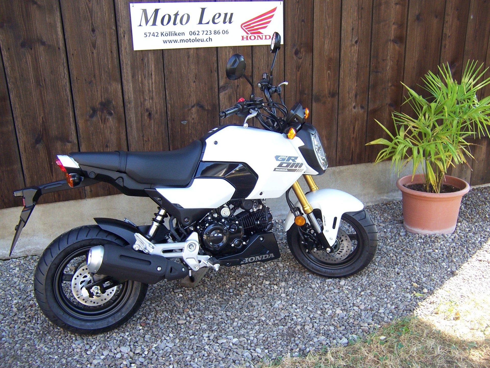 HONDA MSX 125-showroom-element-2