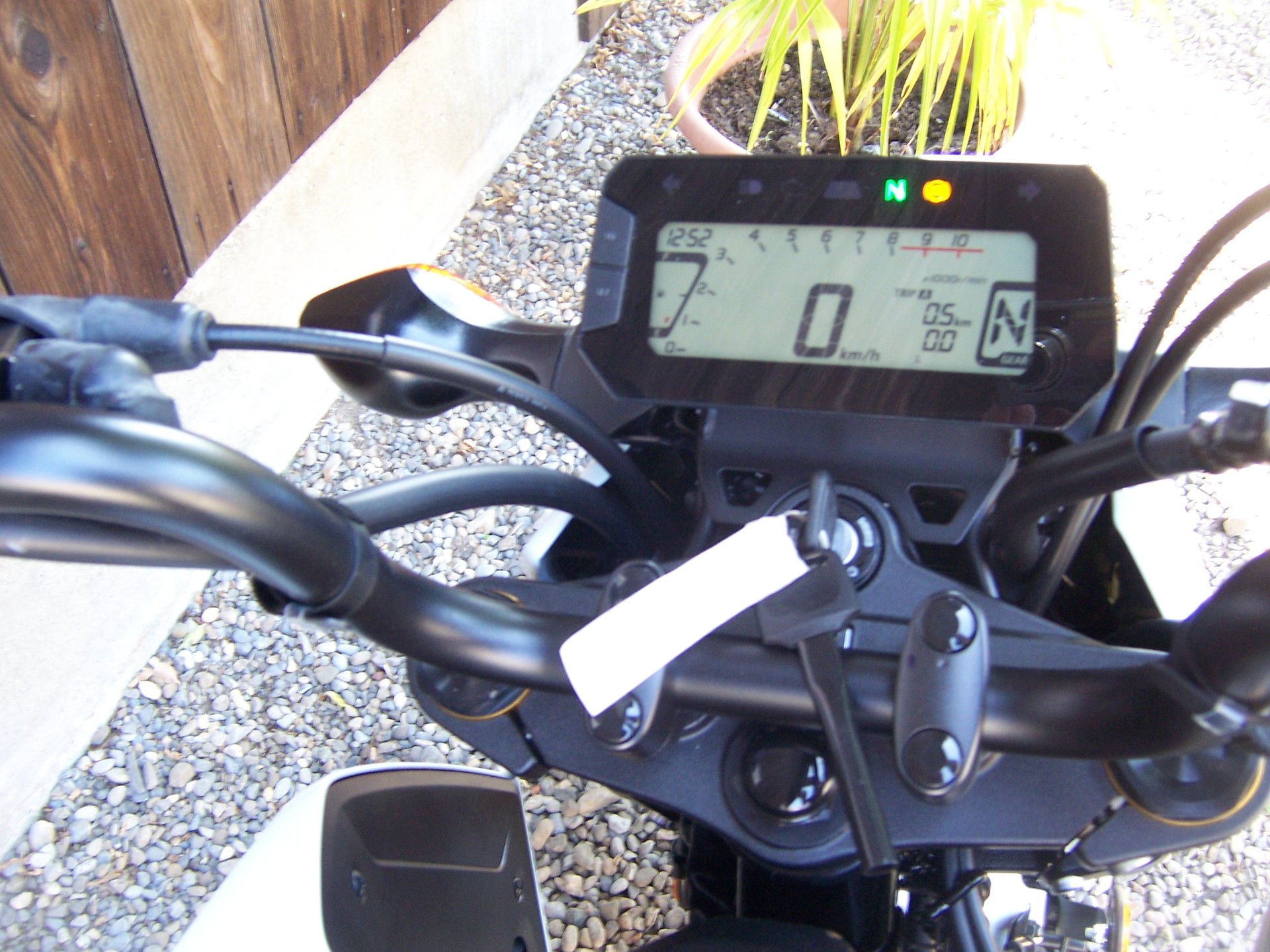 HONDA MSX 125-image-9