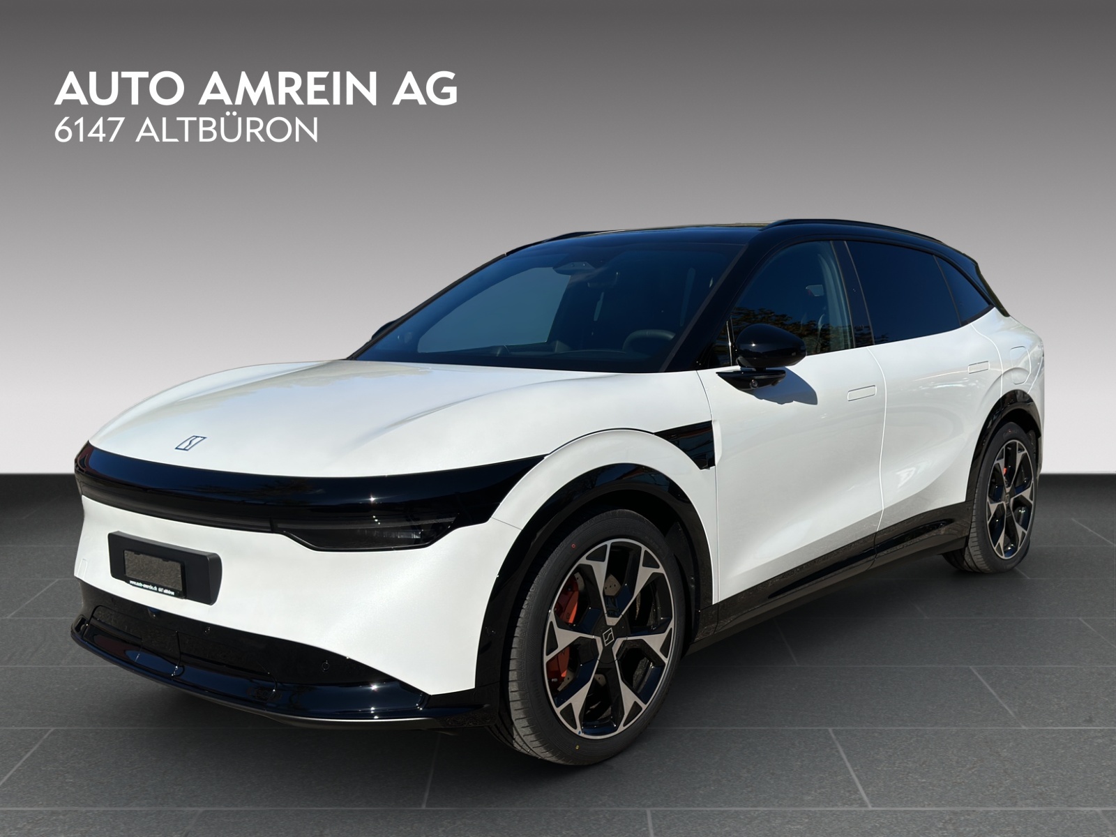 ZEEKR 7X Privilege AWD-image-3