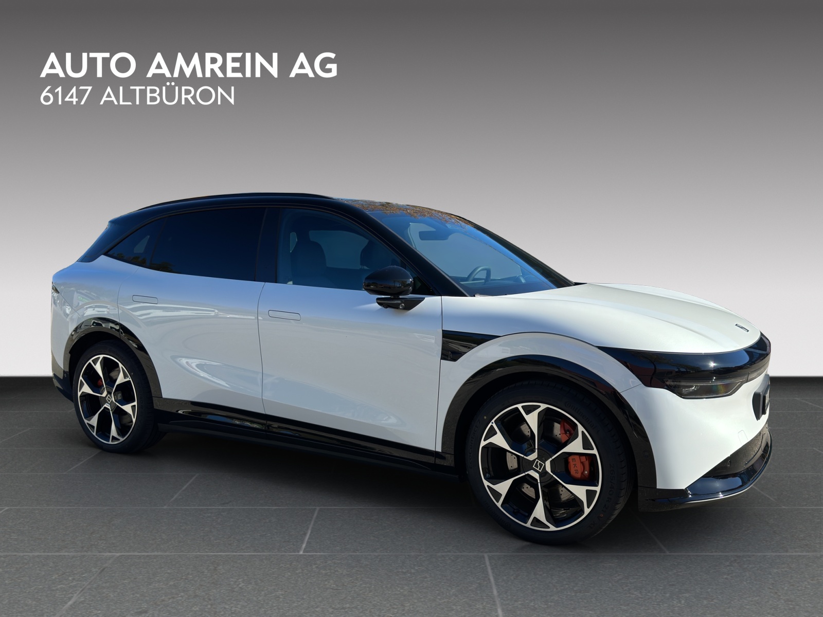 ZEEKR 7X Privilege AWD-image-1