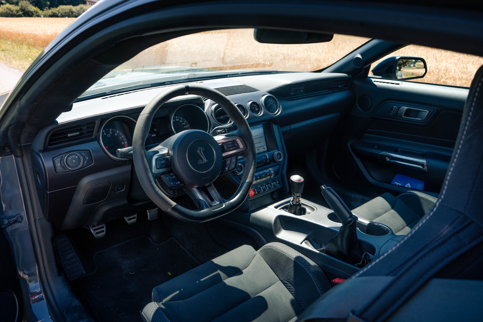 FORD Shelby GT350-image-3