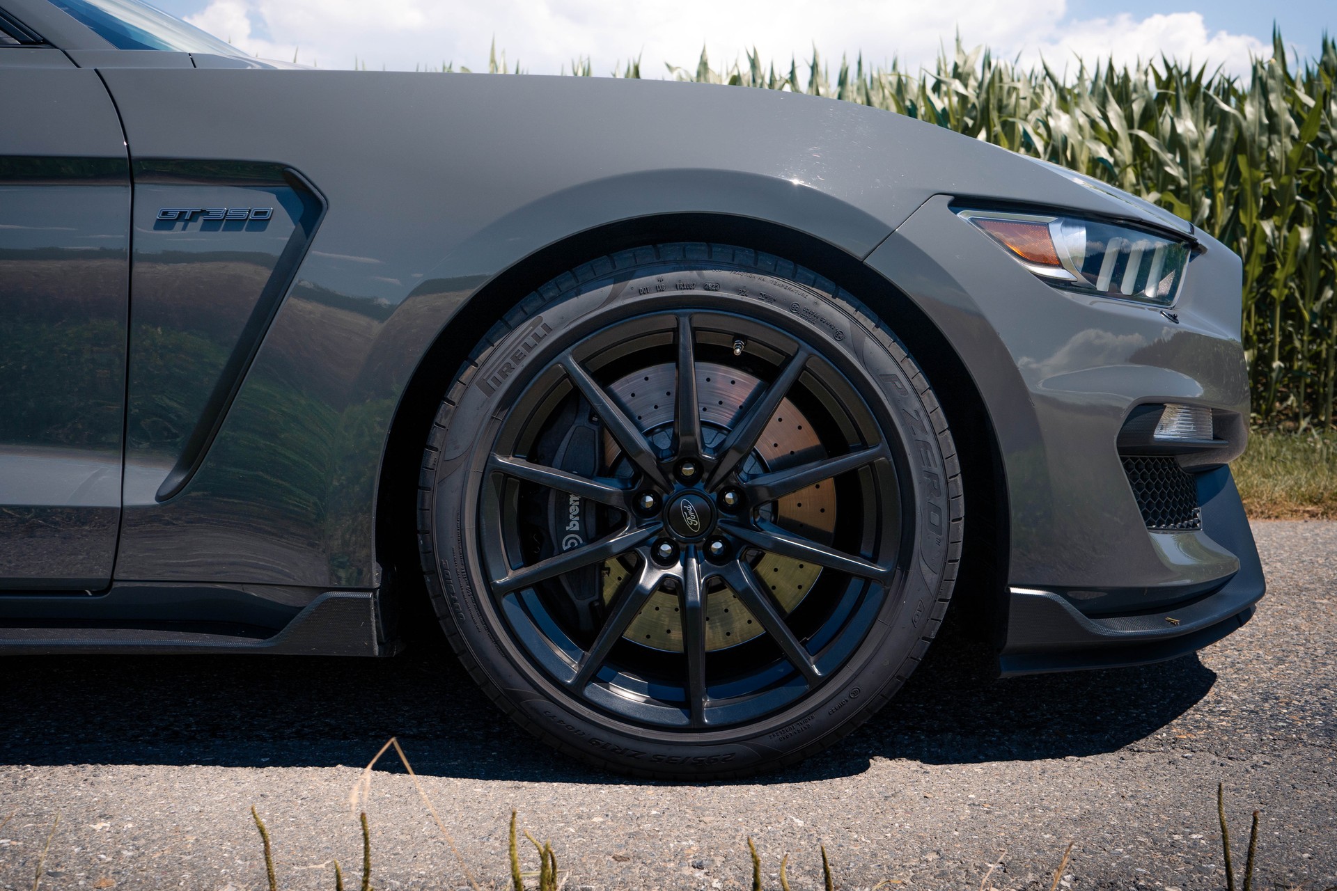 FORD Shelby GT350-image-2