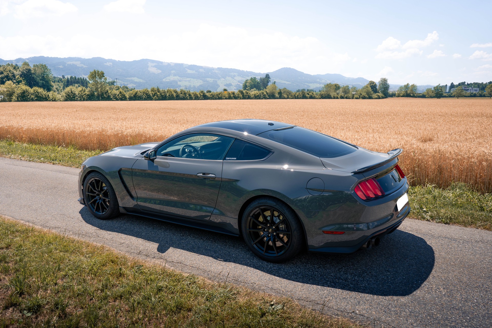FORD Shelby GT350-image-1