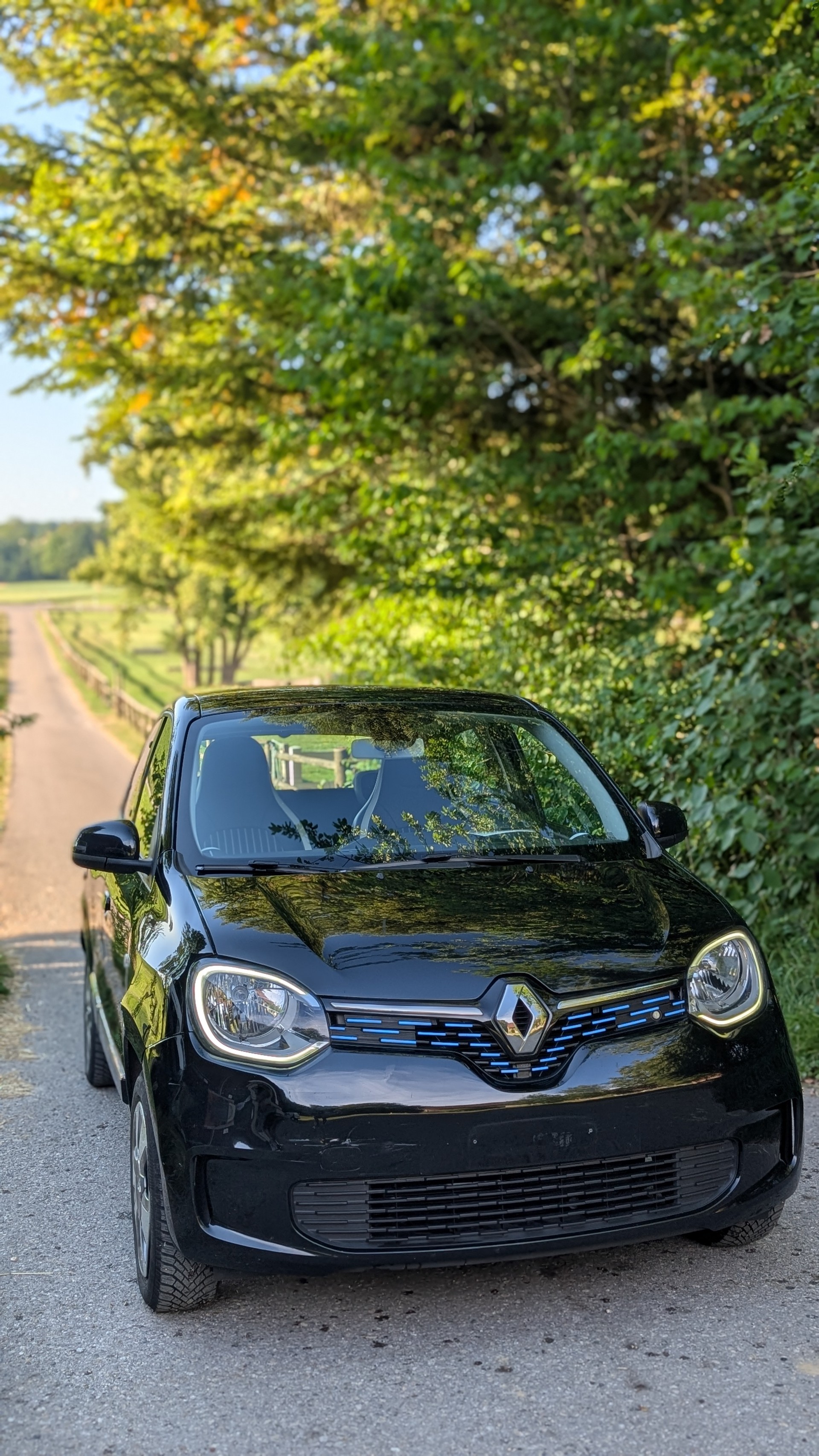 RENAULT Twingo Electric Intens-image-1