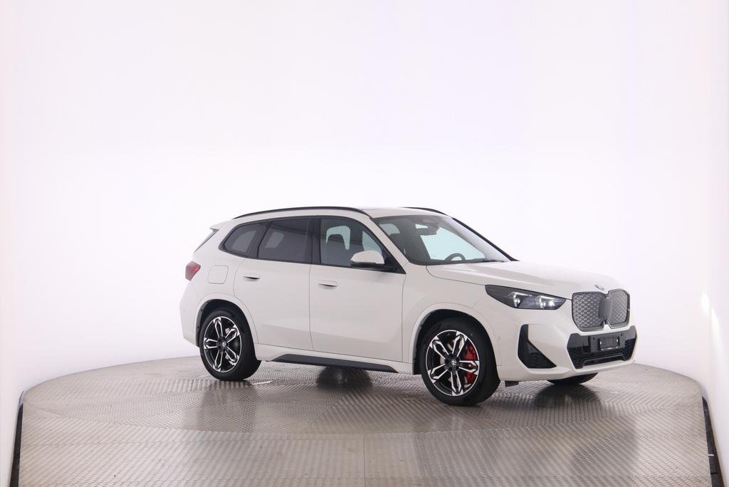 BMW iX1 30 xDrive-image-18
